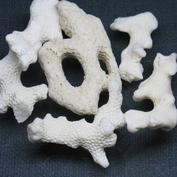 14-039| TOKO-BEADS | Thailand Beach Coral
